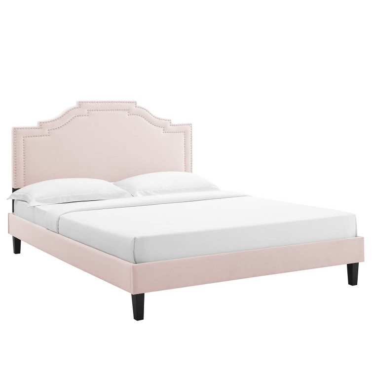 Adelaide Performance Velvet Queen Platform Bed - Pink MOD-6582-PNK By Modway Furniture