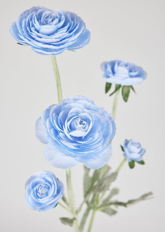 Soft Blue Faux Ranunculus Flowers - 28" SLK-ZTR227-BL/BY By Afloral