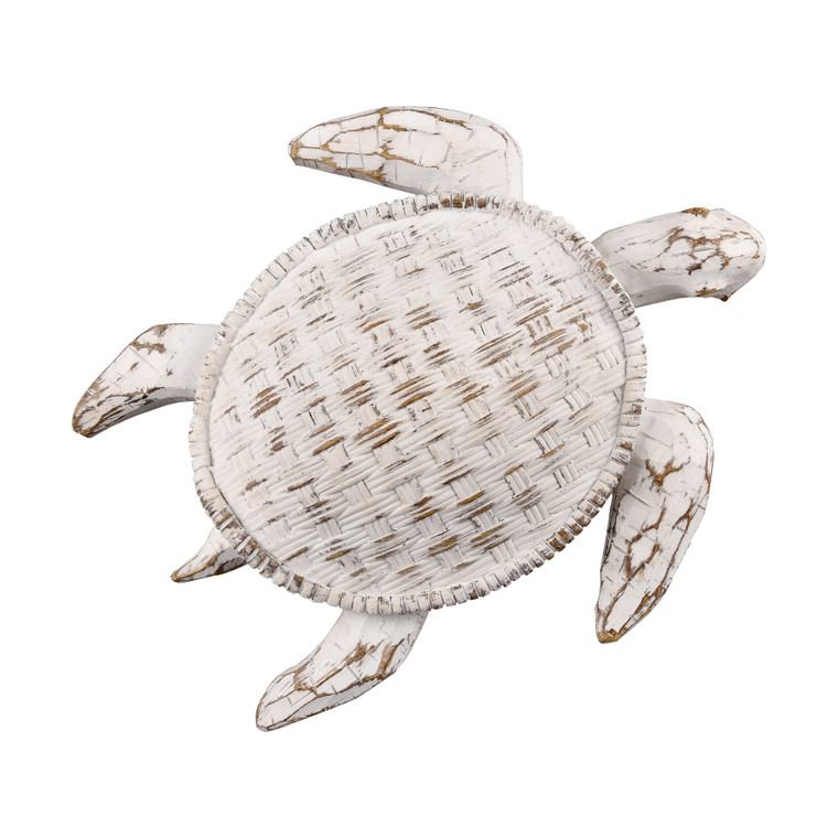 Elk Aly Turtle - Whitewash S0037-11229