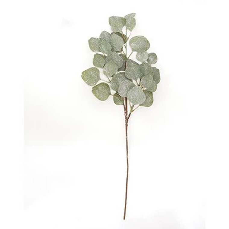 Frosted Dollar Eucalyptus Leaf Spray 29" FXM230017 By CWI Gifts