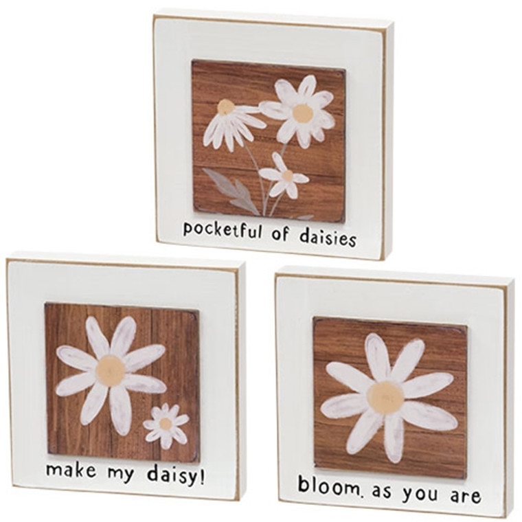 Bloom As You Are Daisy Layered Block 3 Assorted (Pack Of 3) G37581 By CWI Gifts