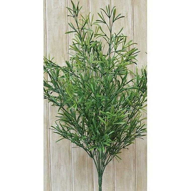 Asparagus Bush - Small F91302TT By CWI Gifts