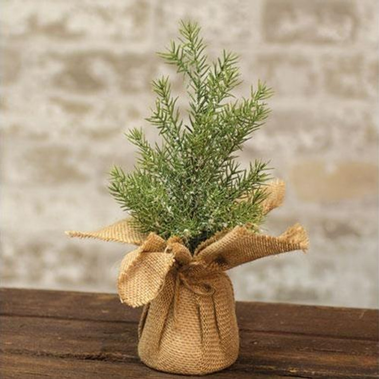Mini Snowy Rosemary Pine Tree, 11" FISB68177 By CWI Gifts