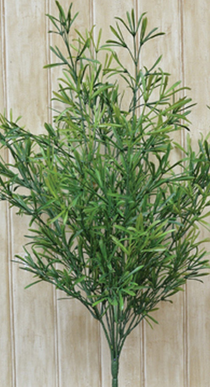 Asparagus Bush FV91303TT By CWI Gifts