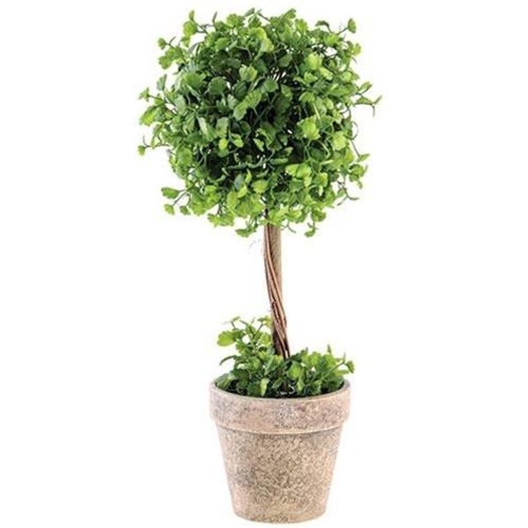 Maiden Hair Fern Topiary, 14" FV981039LTG By CWI Gifts
