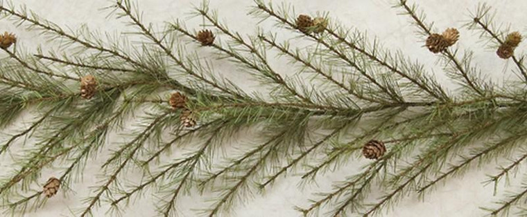 Cypress Pine Garland - 6Feet FXP22336 By CWI Gifts