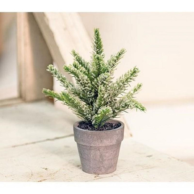 Potted Icy Pine 7" FXTF4006 By CWI Gifts