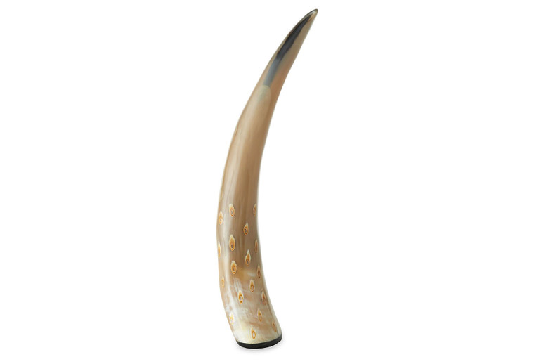 FC005 Natural Horn (Pack of 2) by Dessau Home