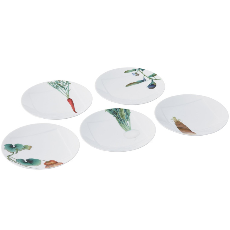 1620-F9931A White 6" Plate Set Of 5 by Noritake