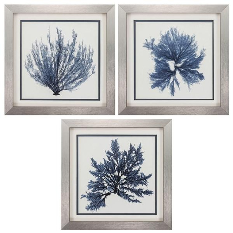 Coastal Seaweed Wall Decor Pack Of 3 3921 By Propac Images