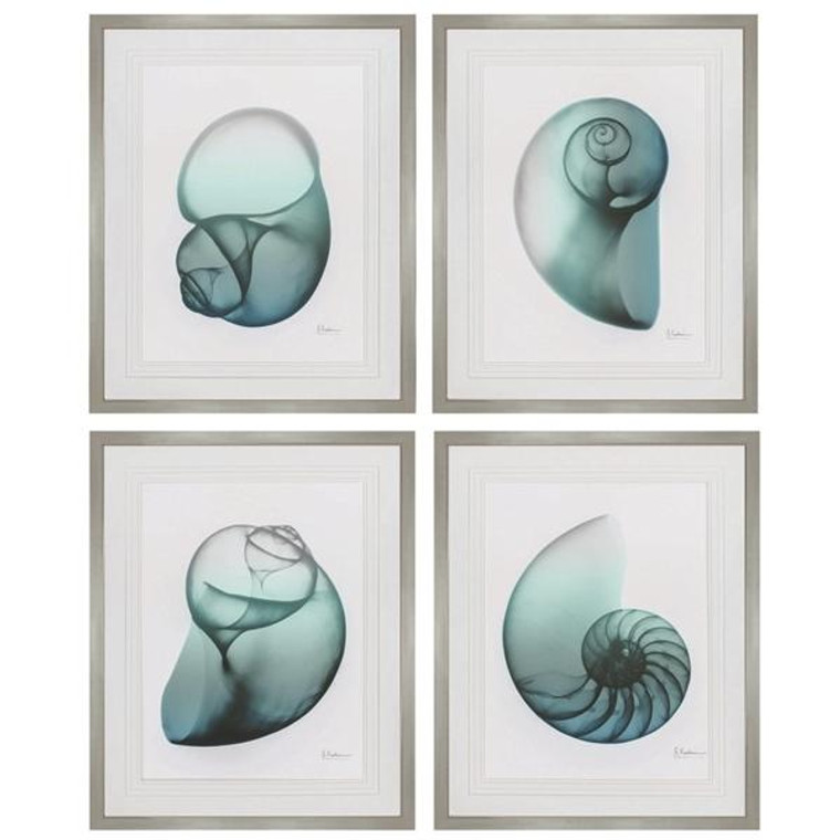 Blue Shell Wall Decor Pack Of 4 4042 By Propac Images