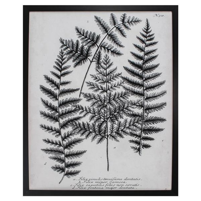 Charcoal Fern Gather I Wall Decor 4219 By Propac Images
