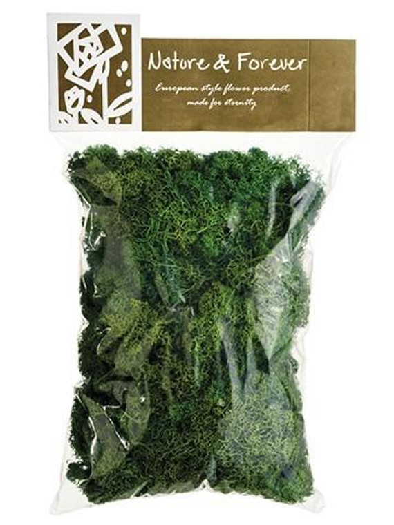 10.5" Assorted Preserved Reindeer Moss In Bag (170 Grams/Bag) Green 6 Pieces APS080-GR