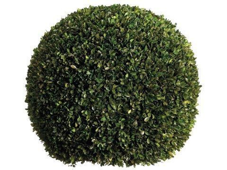 23" Preserved Boxwood Ball Green APS416-GR