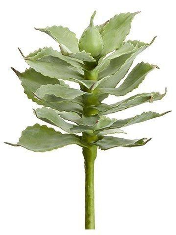 9.5" Agave Pick Green Gray 12 Pieces CA3193-GR/GY