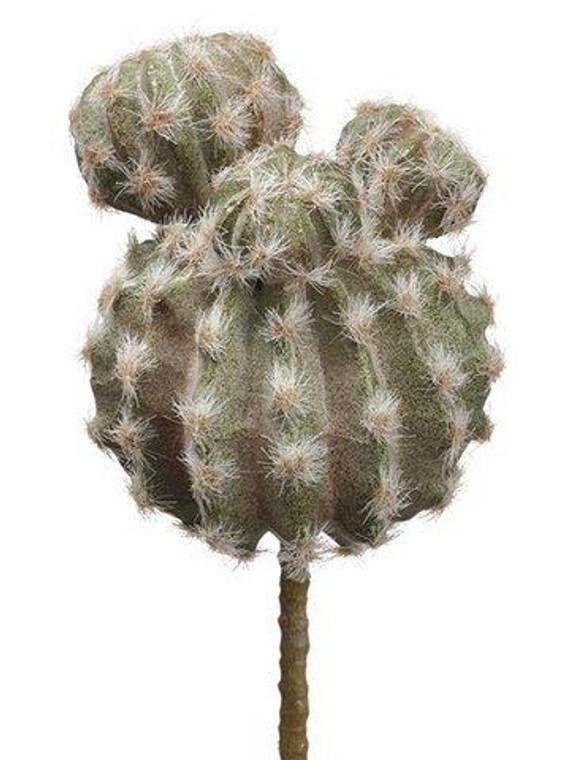 9.5" Barrel Cactus Pick Green 6 Pieces CC1343-GR