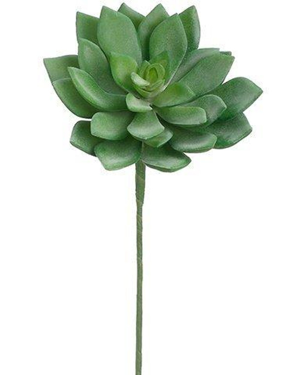 10.5" Echeveria Bouquet Pick  Green Gray 24 Pieces FKE072-GR/GY