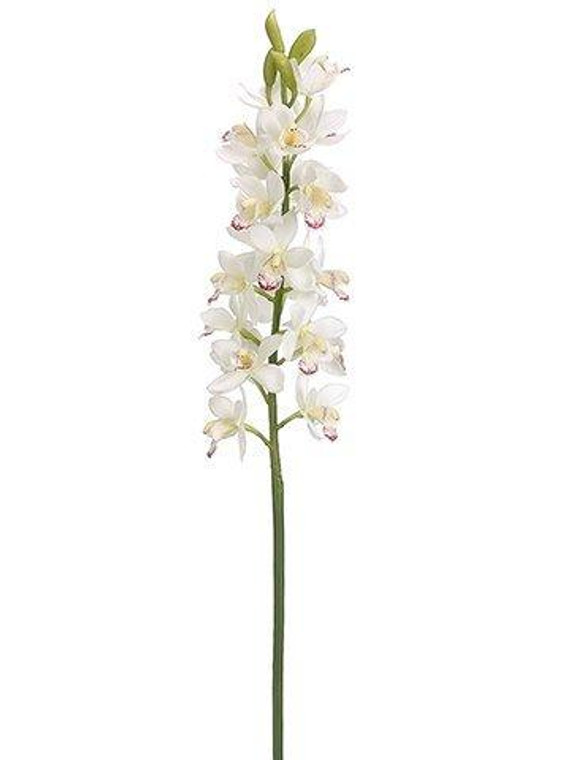 31" Cymbidium Orchid Spray Cream Burgundy 12 Pieces HSO302-CR/BU