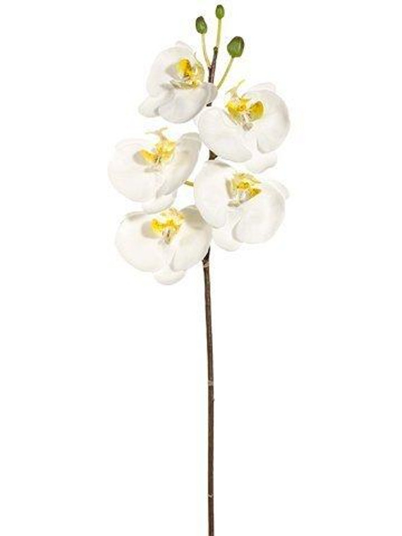 36" Large Phalaenopsis Orchid Spray With 5 Flowers And 3 Buds Cream White 6 Pieces JYO371-CR/WH