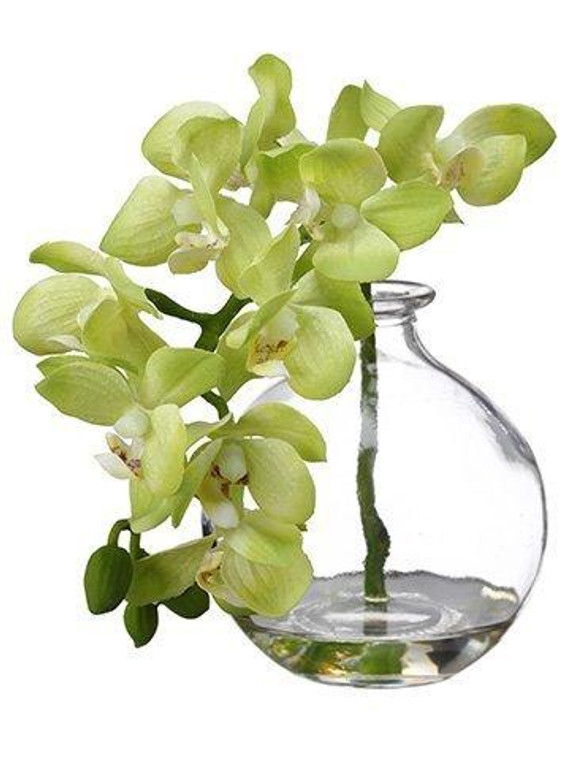 10" Phalaenopsis Orchid In Glass Vase Green 8 Pieces LFO956-GR
