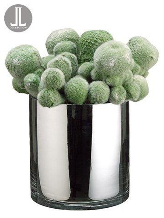 10" Mohave Cactus In Glass Vase Green 2 Pieces LHS733-GR