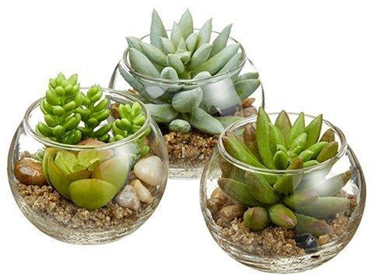 3" Mini Succulent In Glass Vase (3 Ea/Set) Two Tone Green 2 Pieces LQS720-GR/TT