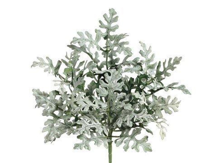 11" Frosted Dusty Miller Bush X6 Green Gray 24 Pieces PBM385-GR/GY