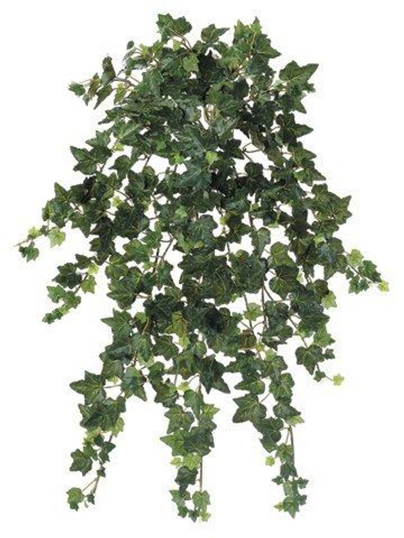 22.5" Round Needle Ivy Hanging Bush X14 W/397 Leaves Green 12 Pieces PBT180-GR