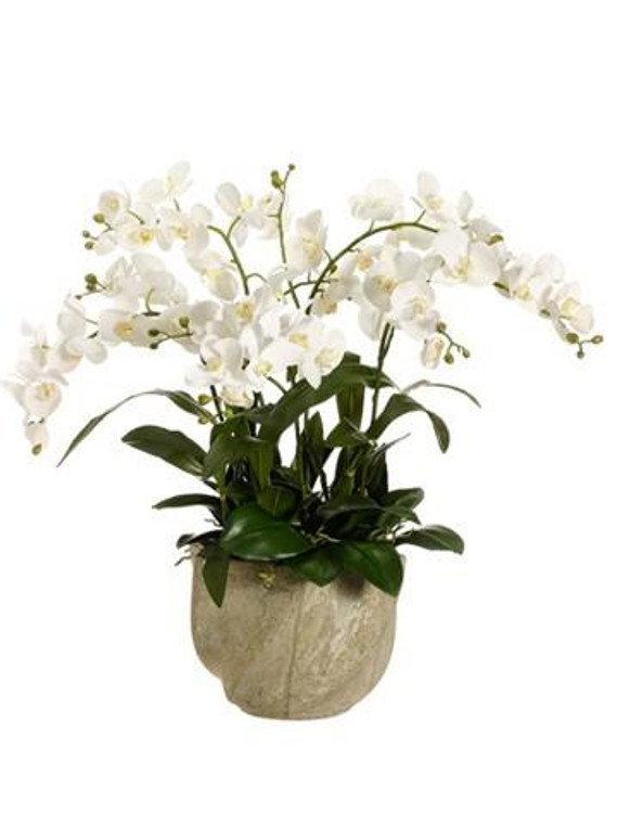 30"H X 29"W X 29"L Phalaenopsis Orchid In Star Pot White WF3408-WH