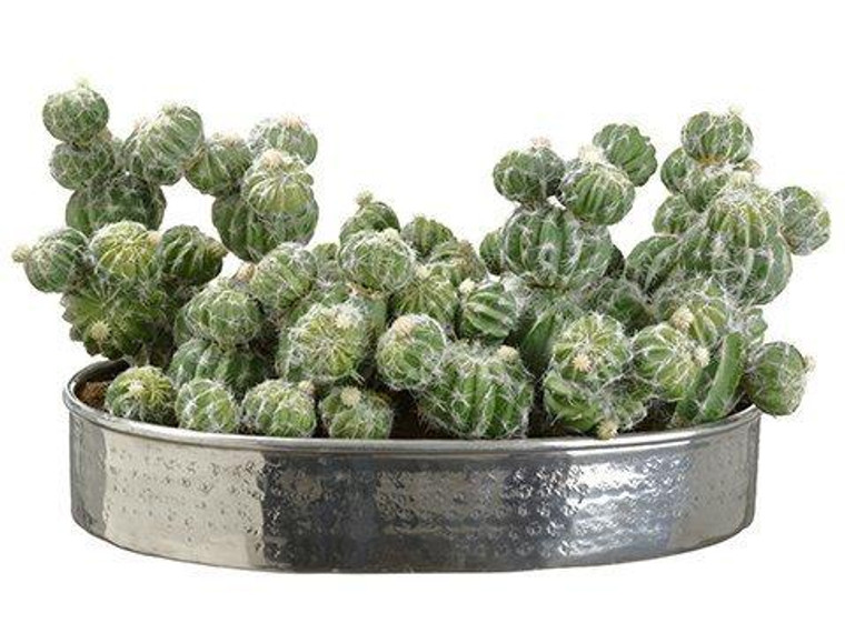 10.5"H X 12"W X 19"L Cactus In Silver Plate Green WF9851-GR