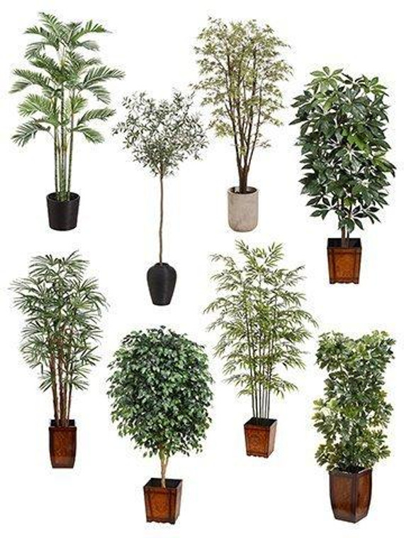 96"H X 48"W X 40"L 8 Assorted Tree Package Green WP1040-ASST