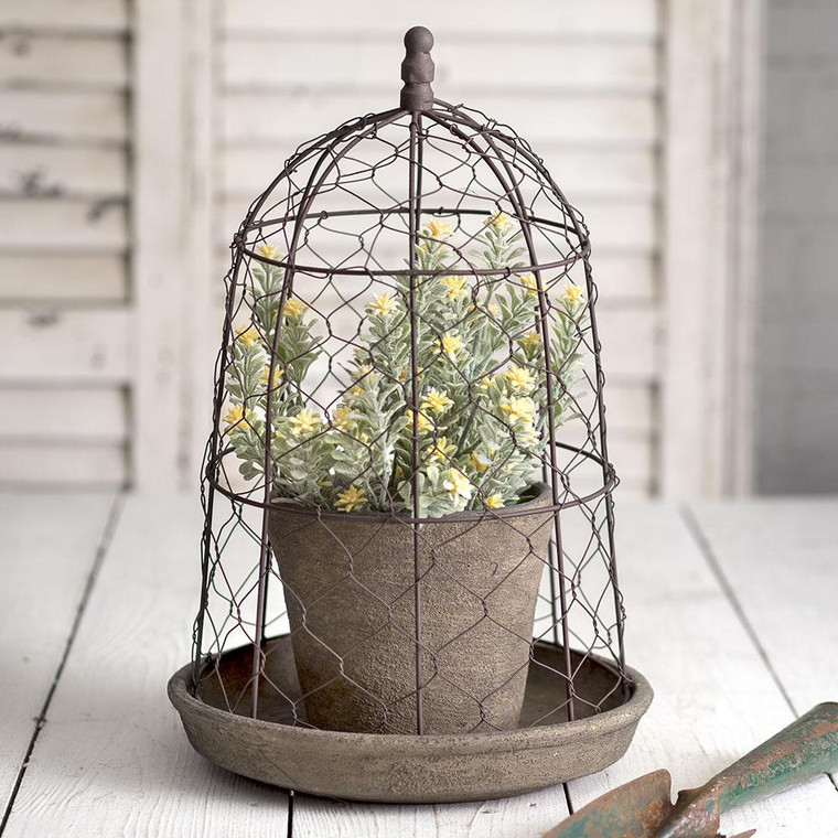CTW Home Chicken Wire Cloche With Terra Cotta Pot And Saucer 840121