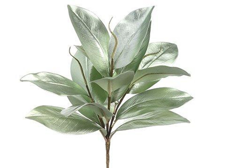 15" Magnolia Leaf Spray Green 12 Pieces XDS023-GR