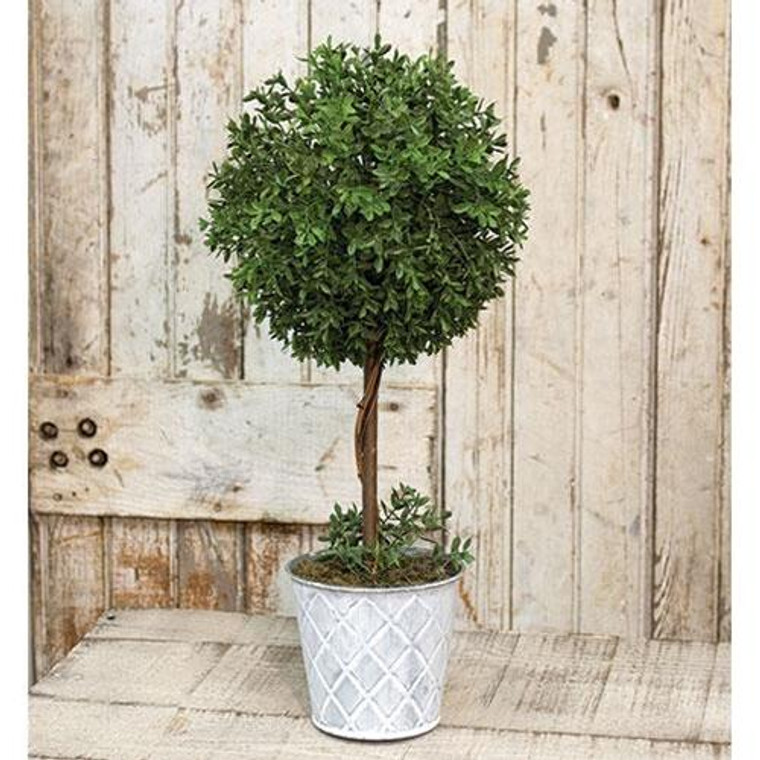New England Boxwood Topiary 18.25" FXP78282 By CWI Gifts