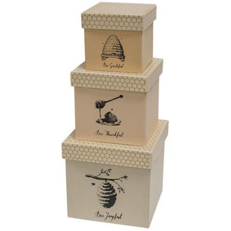 3/Set Bee Joyful Boxes G34474 By CWI Gifts