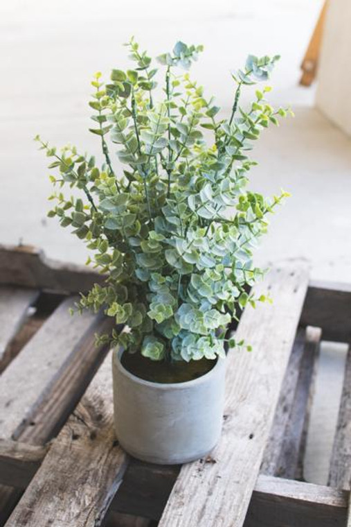 Artificial Boxwood In A Cement Pot CNL1194 By Kalalou