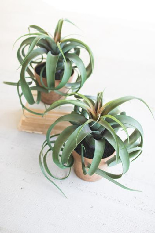Artificial Airplant In A Pot (Pack Of 2) CYF1243 By Kalalou