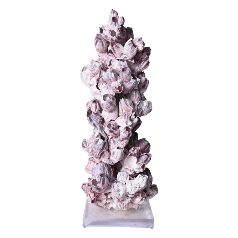 Tall Banacle Coral Creation On Acrylic Base 8071-CRT By Legend Of Asia