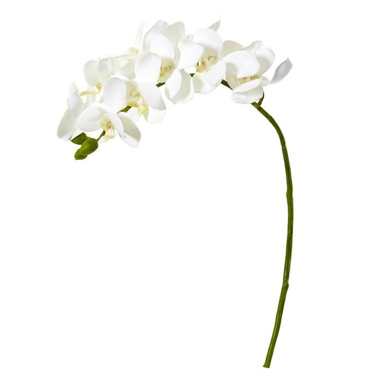 21" Phalaenopsis Orchid Artificial Flower (Set Of 6) 2268-S6-WH By Nearly Natural