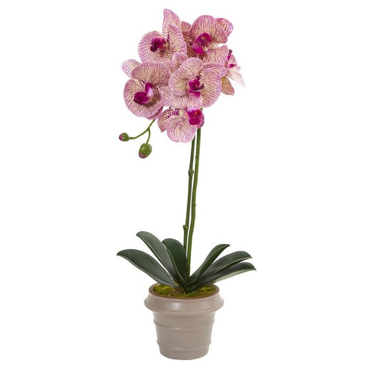 20" Designer Phalaenopsis Orchid Artificial Arrangement 4248 By Nearly Natural