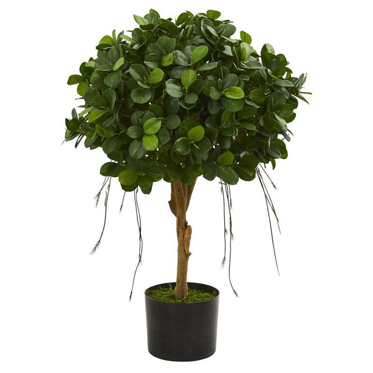 2.5' Panda Ficus Artificial Tree 5573 By Nearly Natural