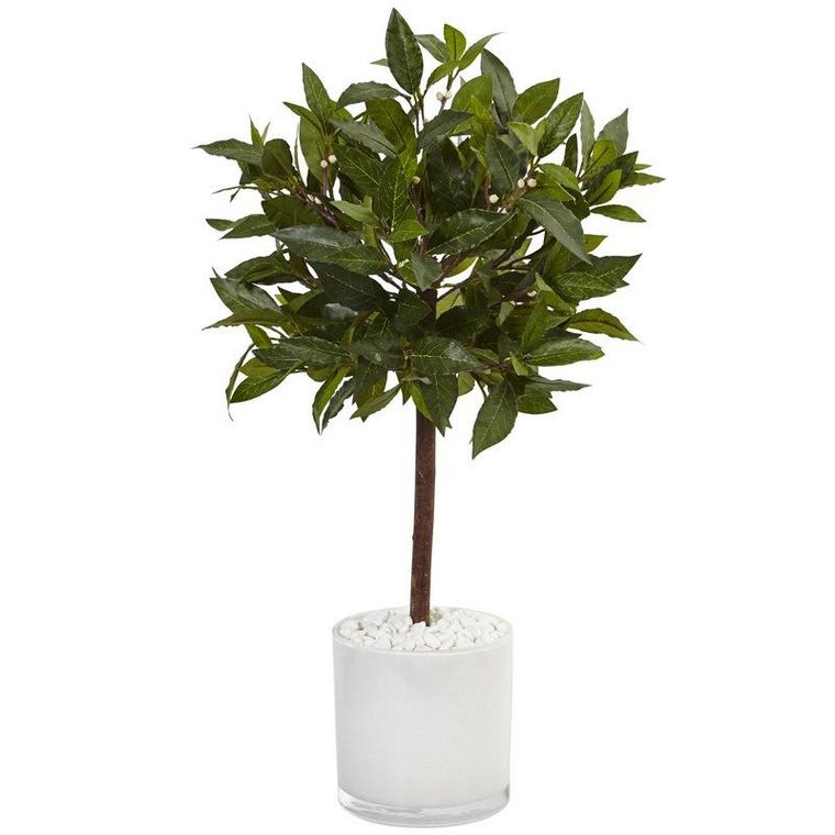 2' Sweet Bay Tree In White Glossy Cylinder 5980 By Nearly Natural