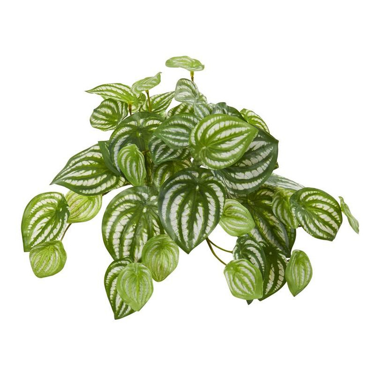 11" Watermelon Peperomia Hanging Artificial Bush Plant (Set Of 12) (Real Touch) 6197-S12 By Nearly Natural