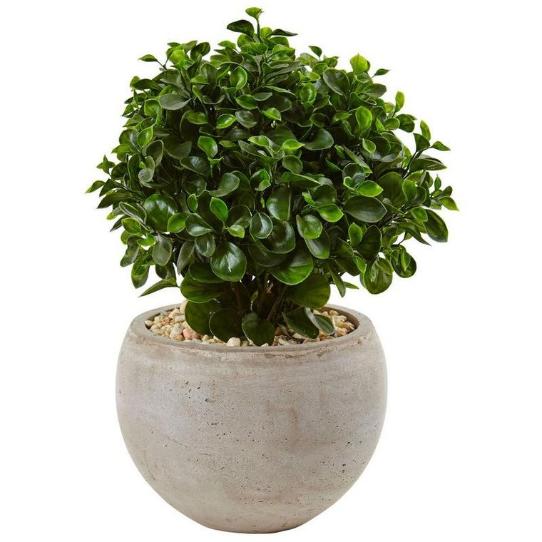 2' Eucalyptus In Sand Colored Bowl Uv Resistant (Indoor/Outdoor) 6993 By Nearly Natural
