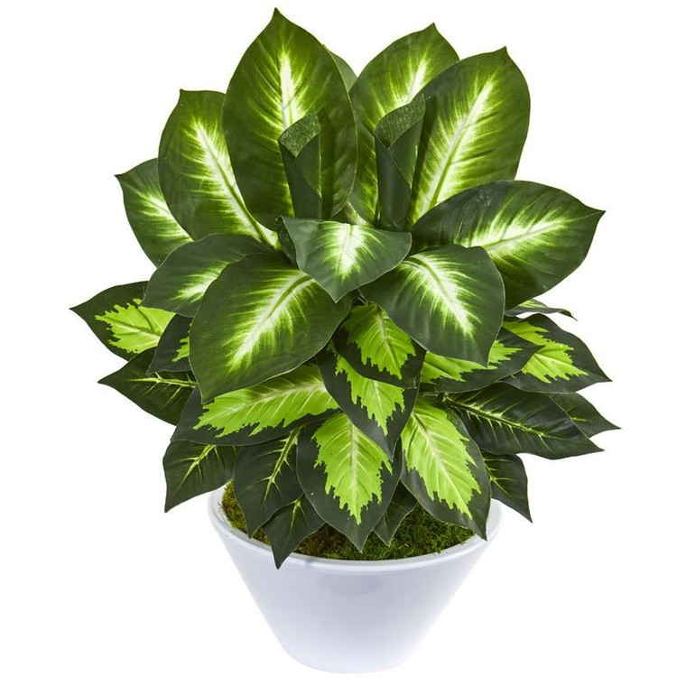21" Golden Dieffenbachia Artificial Plant In White Planter 8409 By Nearly Natural