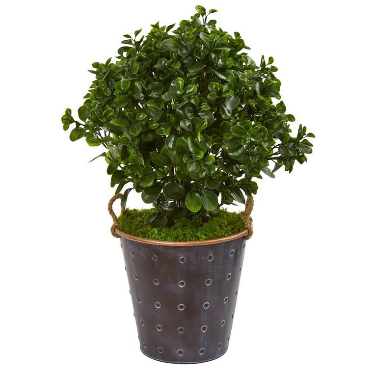 2.5' Peperomia Artificial Plant In Metal Planter Uv Resistant (Indoor/Outdoor) 9489 By Nearly Natural