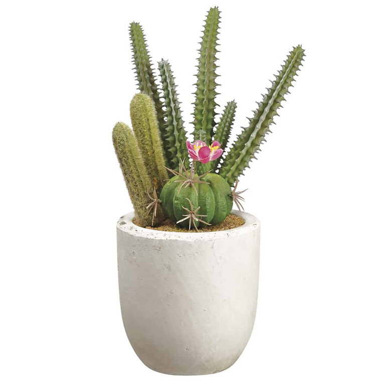 8.25" Cactus Garden In Ceramic Pot Green (Pack Of 6) ZQS181-GR By Silk Flower