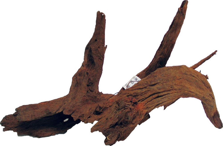 Malaysian Driftwood 470791