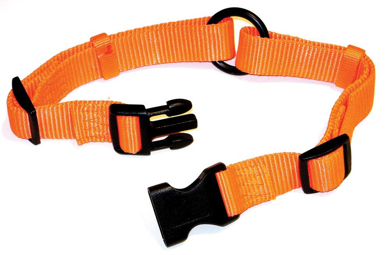 Adjustable Saferite Dog Collar 442201
