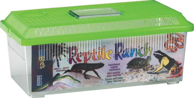 Reptile Ranch Rectangle 406476